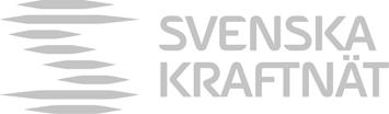 APPENDIX Dnr 2009/703 2009-07-06 Förutsättningar och underlag till rapporten SvK200, v2.