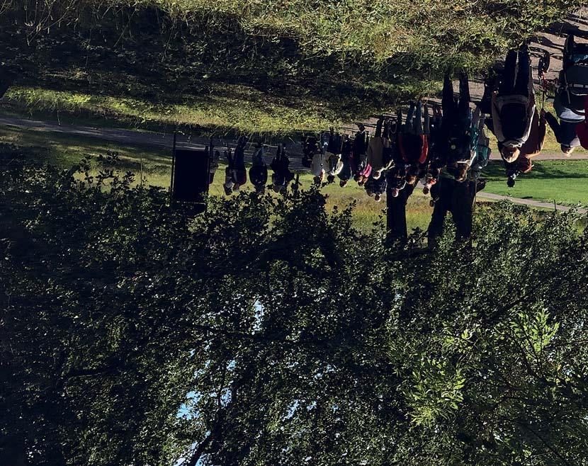 Brett samarbete för en tillgänglig natur Katrin Jones Hammarlund är miljövetare och arbetar hos Studiefrämjandet. Hon är sedan några år projektledare för ett projekt som heter Naturen på lika villkor.