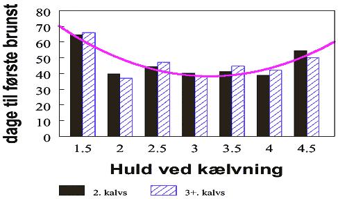 Fruktsamhet 1 Hull vid kalvning vs.