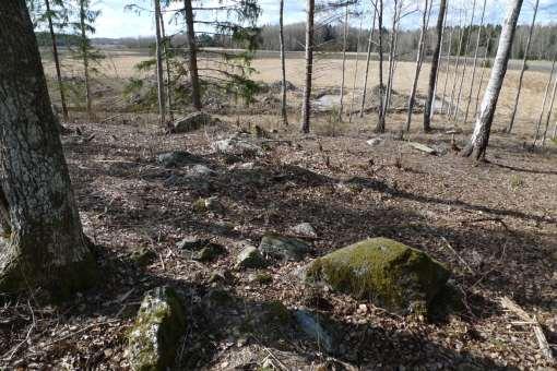 Undersökningsresultat Den centrala delen av fastigheten utgörs av gravhöjden Dingtuna 185:1.