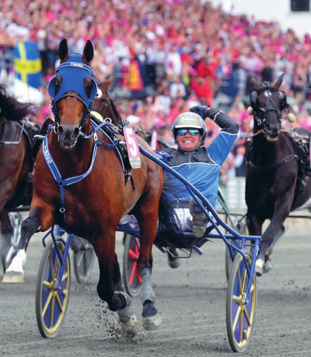 Örjan Kihlström med hästen