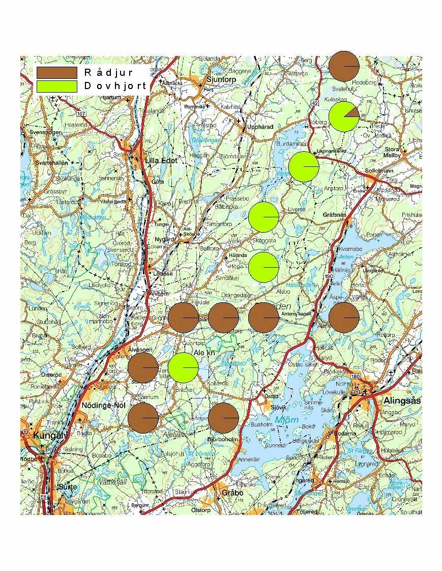 Ur karta Lantmäteriverket Gävle 2006. Medgivande I 2006/160 Figur 2. Andelsfördelningen över gjorda observationer av rådjur och dovhjort i Ale Jaktvårdskrets under februari 2006.