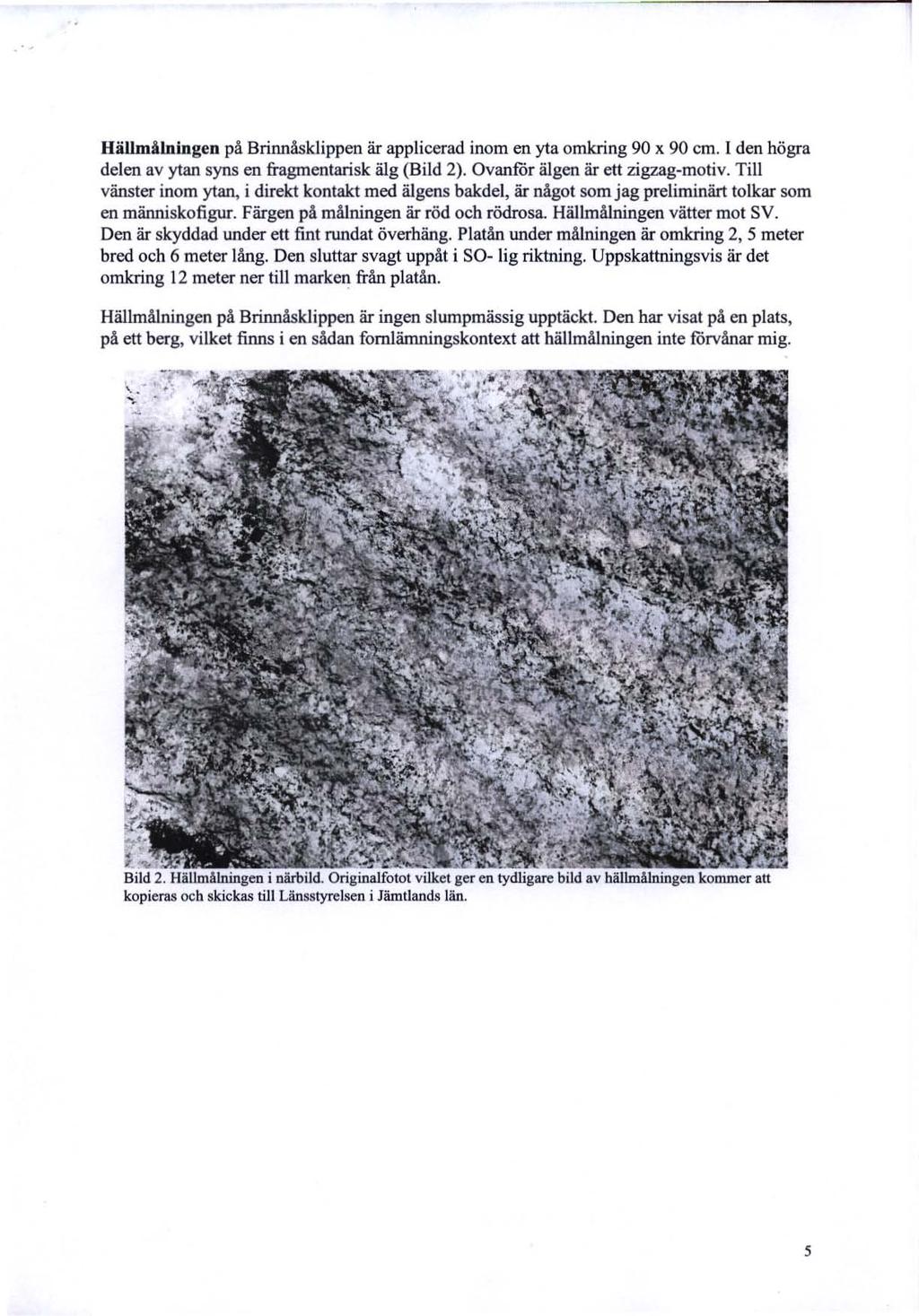 1 Hällmålningen på Brinnåsklippen är applicerad inom en yta omkring 90 x 90 cm. l den högra delen av ytan syns en fragmentarisk älg (Bild 2). Ovanfår älgen är ett zigzag-motiv.