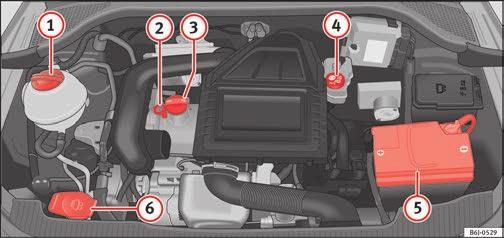 Tips Avläsa nivåer Bild 173 Diagram över olika elements placering 2 3 4 5 6 Mätsticka för motorolja Lock för påfyllning av motorolja Behållare för bromsvätska Bilbatteri Vindrutespolarnas behållare