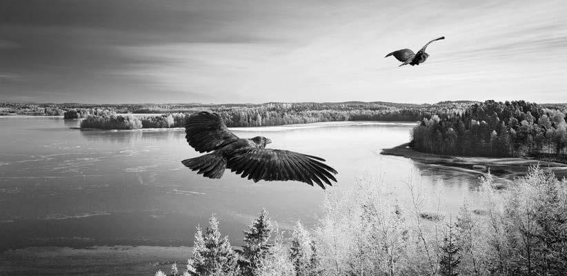 Om Hugin & Munin På ODIN Fonder vill vi bära med oss vårt nordiska arv in i framtiden.