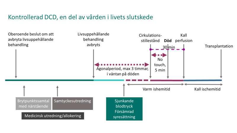 Flödesschema DCD-processen