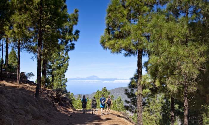 San Agustin Gran Canaria Tre bra golfbanor finns inte långt från anläggningen. Ta en promenad till Maspalomasstranden med 5 km sandstrand. Många väljer att bara promenera längs vattenbrynet.