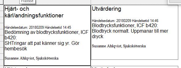 Översikt = ser man all dokumentation från alla öppna journaler.