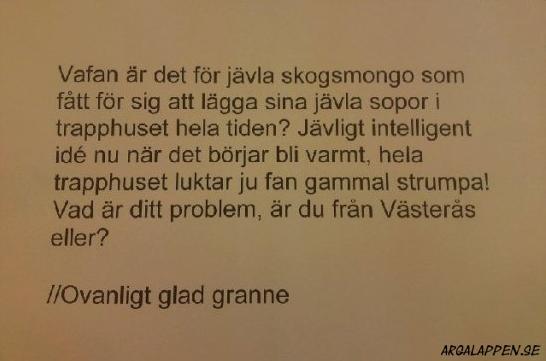 Grannfejd