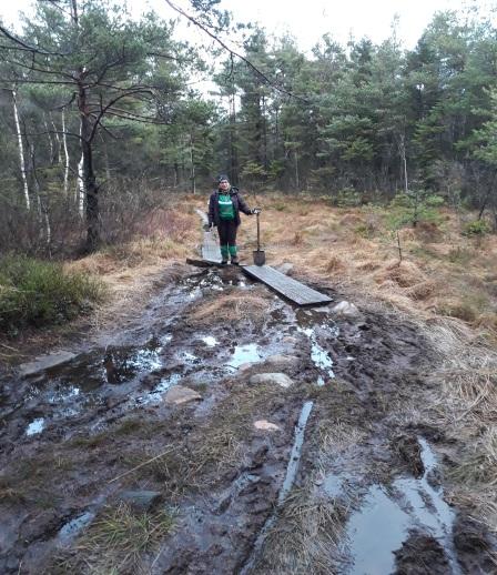 Stora Härsjöleden: Vi har gjort slyröjning, kompletterat stolpar som försvunnit, reparerat spänger och dikat på några platser. Leden är tyvärr på några platser rejält blöt när det regnat mycket.