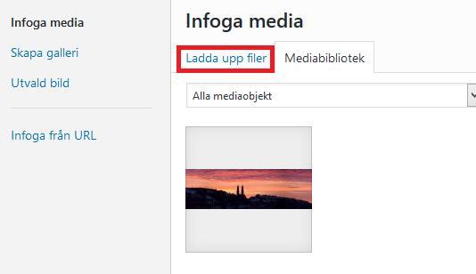 Lägg till bild eller annan fil Du kan lägga in bilder, pdf-filer, Excell osv. Exemplet nedan visar hur du lägger till bilder då det skiljer sig lite från övriga filer.