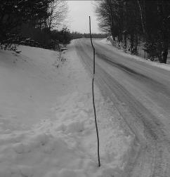 Styrelsen Snöpinnar Vägverkets "nya" snöpinnar har väckt debatt. Och den som vill kan få en förstoring i färg på dom.