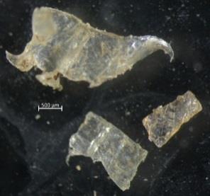 Mikroplast Filmer