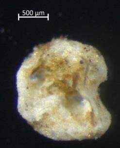 Mikroplast Expanderad cellplast