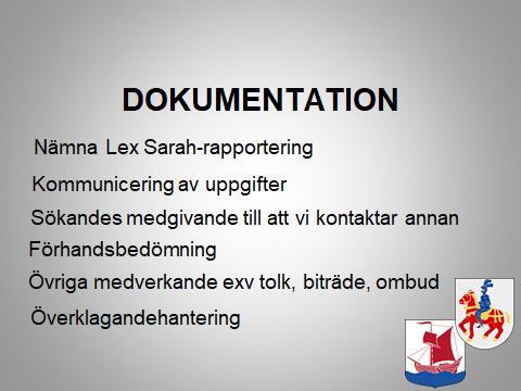 I Socialstyrelsens föreskrifter nämns några konkreta saker som ska vara med, bland annat: om det i ärendet gjorts en Lex Sarah-rapport eller en polisanmälan; hur vi kommunicerat information som