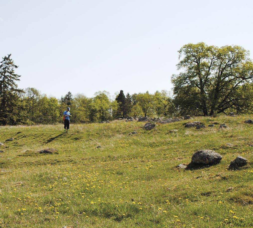 Arkeologisk specialinventering Område Vårdsberg Inför framtagning av områdesbestämmelser för