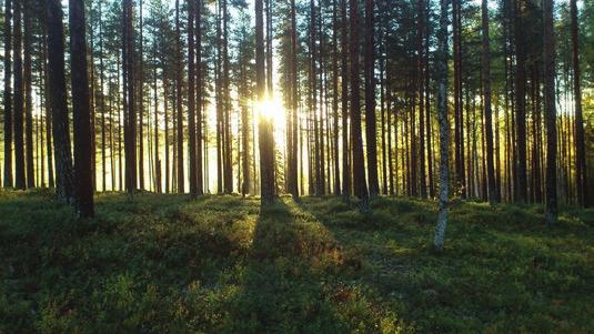 Naturpasset 2018 Ge dig ut i skog och mark och leta efter platserna som är utmärkta på kartan. Härlig motion och njutningsbar natur, kan det bli mer nytta med nöje?