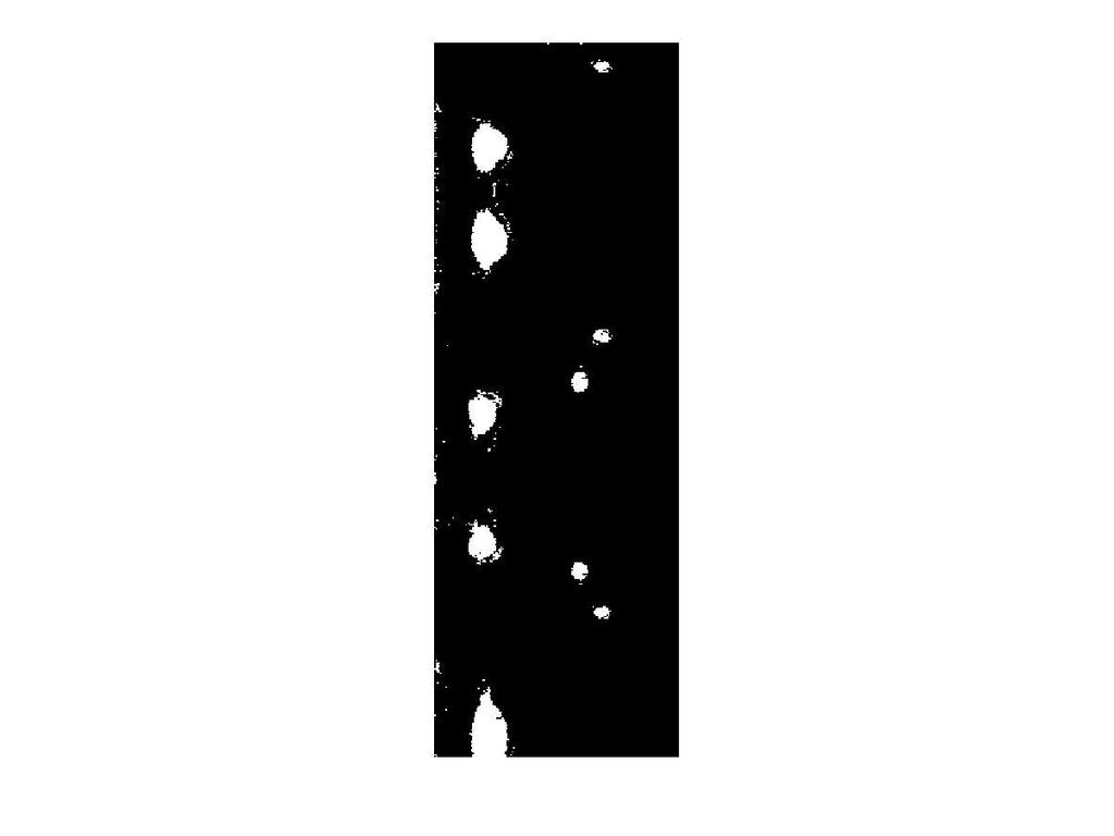 Figur 2.3 Trösklad bild med kvistar samt mörka områden.