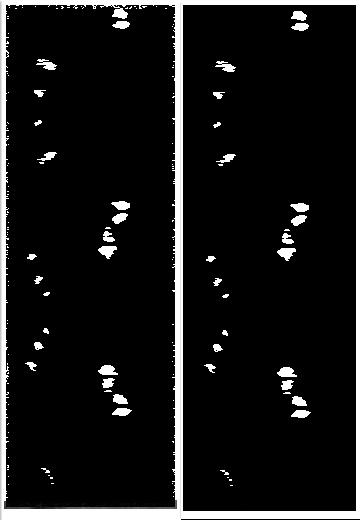 Figur 3.5 Bild före (vänster) samt efter (höger) applicering av trimfunktion.