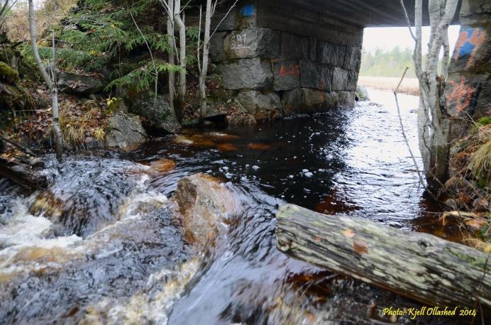 Vi stannade till vid bron över bäcken och stannade på det sättet ändå kvar i Sandvikens kommun (åtminstone behöriga i det avseendet). Bild 50.