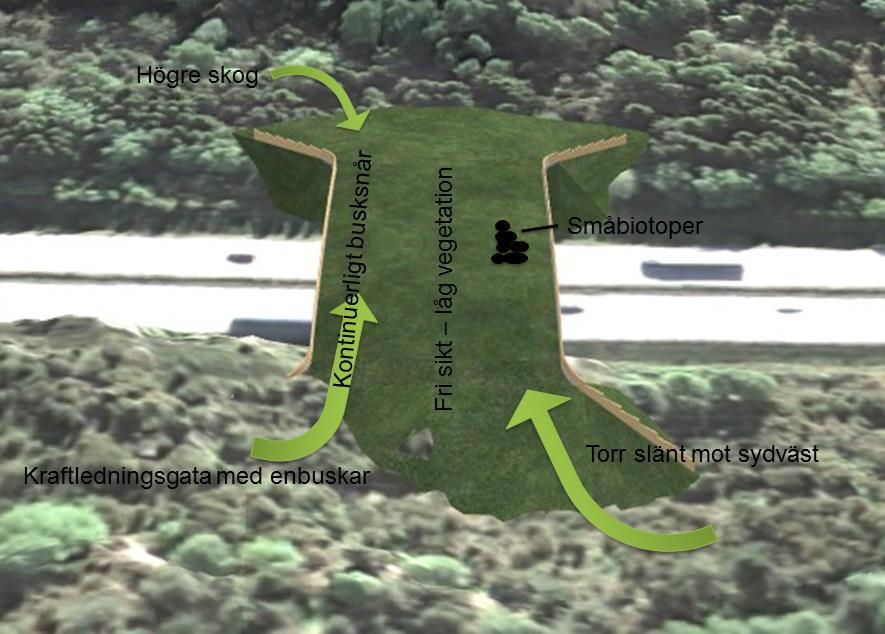 Figur 7.2.2 Vegetationen på och runt ekodukten skall anpassas till omgivande landskap och vegetation.
