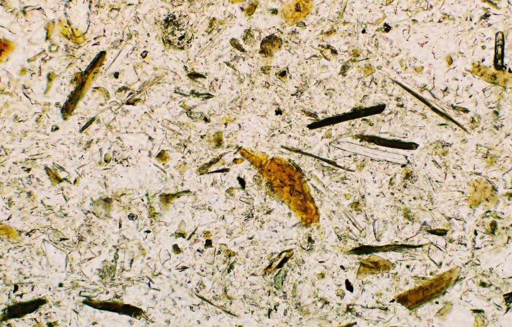 Feed Biotite brown