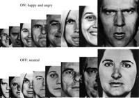 ansikts-/emotionsbearbetning