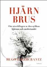.. Sökande efter kunskap tillfredsställer hjärnans dopamininnehållande belöningssystem på ett liknande sätt som god mat och dryck, sex och nikotin skriver professor Hugo Lagercrantz i boken Hjärnbrus.