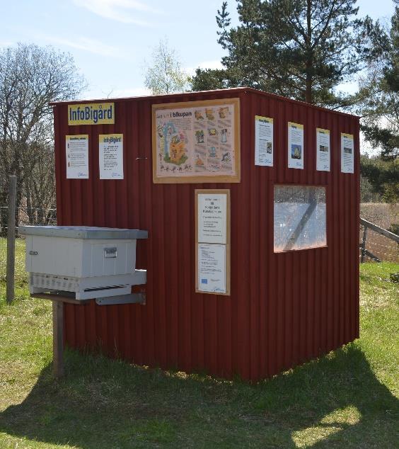 berättade om traktens fåglar.