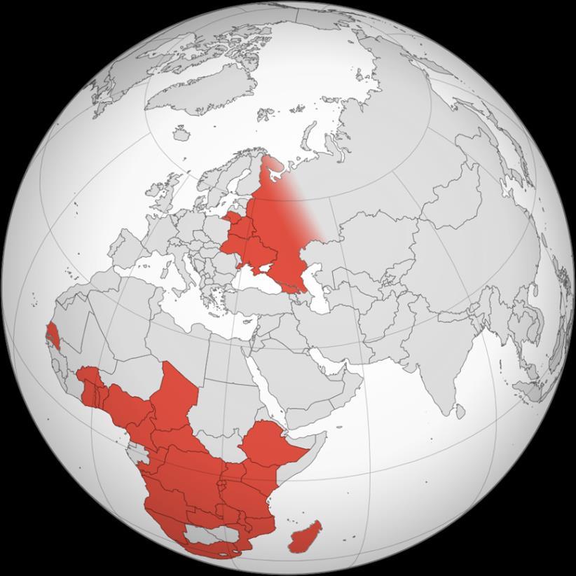 2007 5
