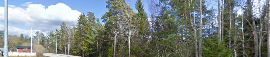 5 Befintlig markanvändning och dagvattenhantering Fastigheten utgörs i huvudsak av skogsmark som ligger mellan bostadsområdena kring Zetterlunds väg och Bylevägen samt Roslagsbanan.