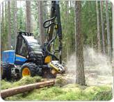 Hur kan skogsproduktionen ökas i Halland?