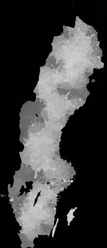 Genomförandet av strategin sker genom skogsprogrammets hela process samt mål och åtgärder för fem fokusområden som ska bidra till att uppnå skogsprogrammets vision.