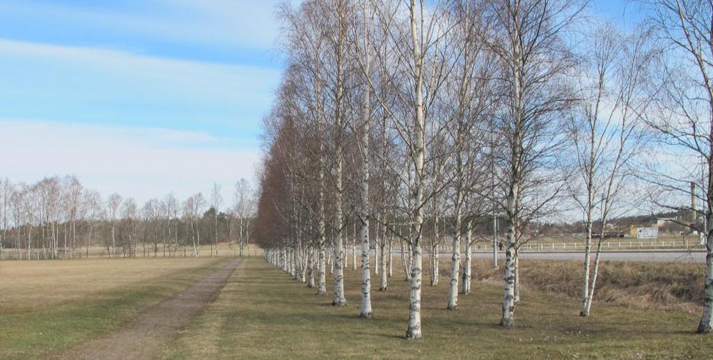 Landskapsbild Förutsättningar Planområdet ligger i ett område där jordbruksmark dominerar. Här finns Genetiska trädgården, beteshagar, åkrar och försöksodlingar.