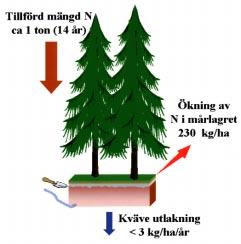 Figur 1. Kväveutlakning och förrådsuppbyggnad av kväve i gödslingsledet i Flakaliden.