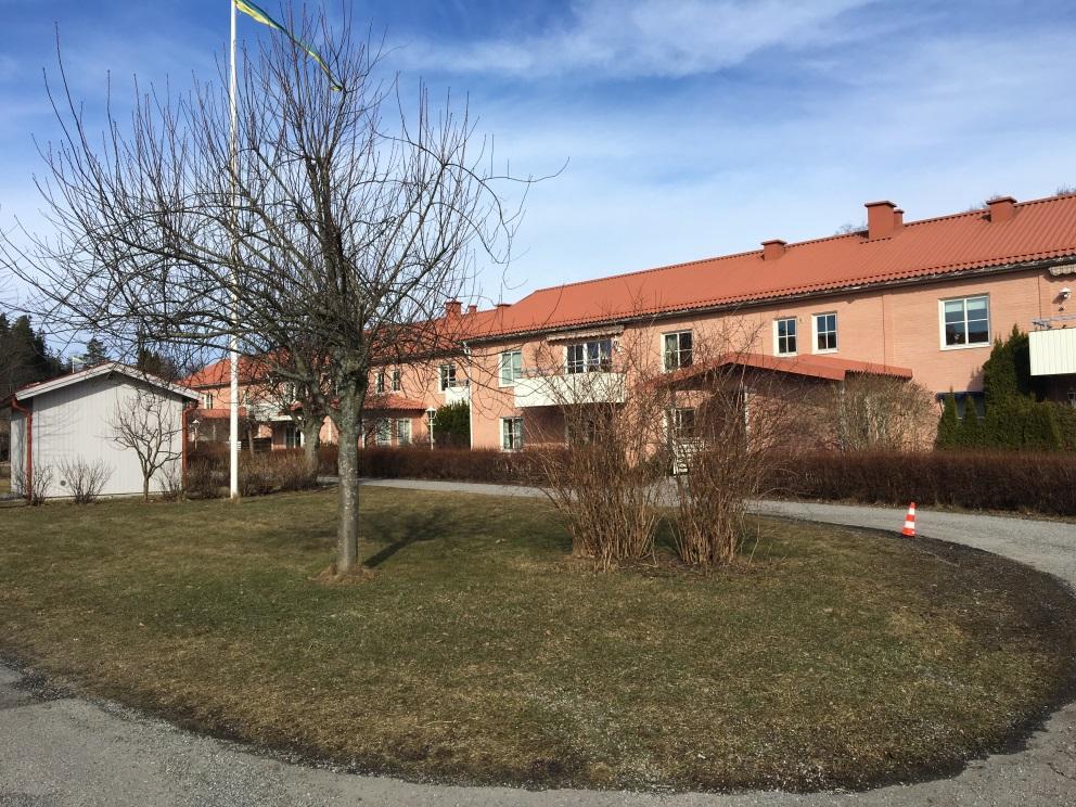 1. Gräs 1.1 Bruksgräsmatta Bruksgräsmattan är avsedd för vistelse, lek, rekreation och andra aktiviteter. Den ska ha ett vårdat utseende och en tättväxande gräsyta.