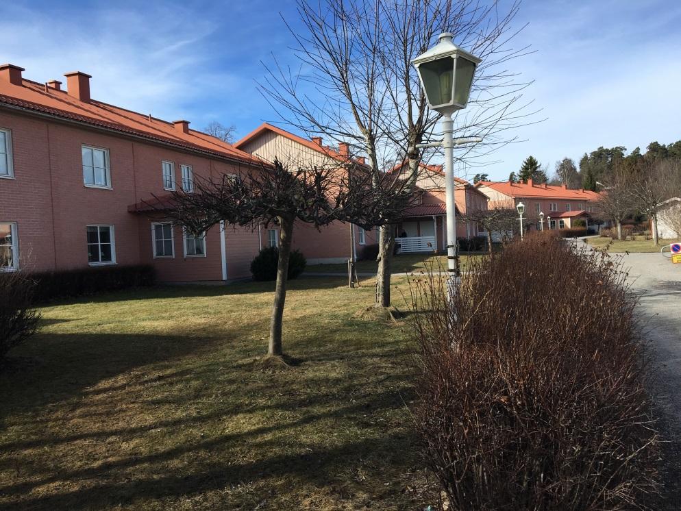2.2 Frukt- och prydnadsträd Betecknar här alla träd som beskärs för fruktsättning eller formklipps av estetiska eller utrymmesskäl.