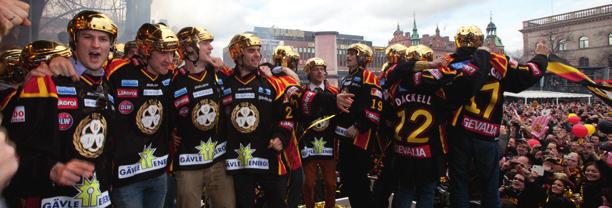 Framtid Vägen till framgång Brynäs IF är ute på en ny och annorlunda väg för en elitklubb.