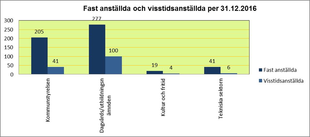 125(136) Statistik över antalet anställda per 31.12.2016 uppdelat enligt anställningens karaktär och sektor.