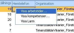 gälla. Om personen ska anges som ersättare i vakansplaneringslistan måste Skapa ersättare vara markerad.