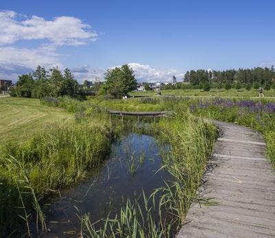 Att bygga i trä minskar både på energiförbrukningen förorsakad av tillverkningen av byggmaterialet och av själva byggandet, och fungerar dessutom som en kolsänka.