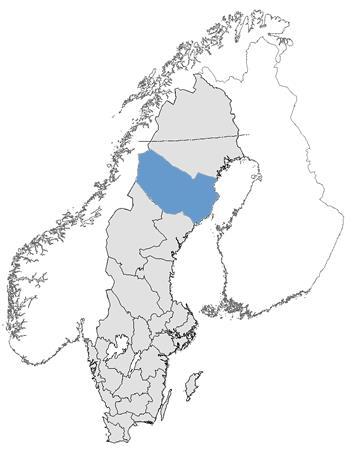 Västerbotten 1/8 av Sveriges yta 55 432 km
