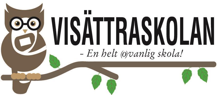 Visättraskolans & Fritidshemmets plan mot