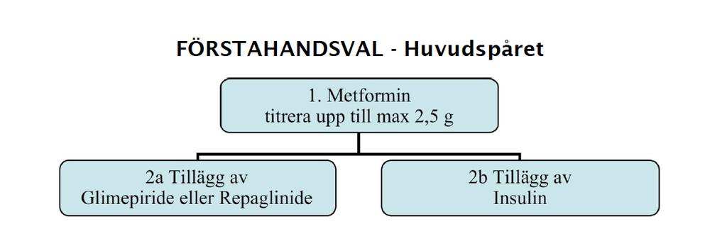 VGR 2016 Tredje Linjen GLP-1