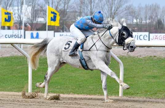 The UAE Embassy Trophy Maghazi Dagen bjuder även på UAE Embassy Trophy som lockat 10 hästar i en bättre handikap. Prissumman är på 120.000 kronor, varav hälften går till segraren.