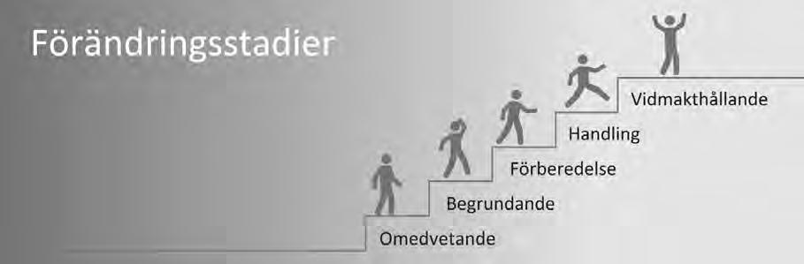 Förändring en process Beteendeforskningar visar att de flesta av oss går igenom 5 stadier innan vi når bestående förändringar i levnadsvanor. 1.