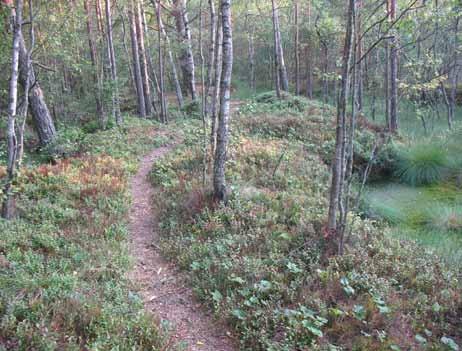 Naturkraft Tumleberg Förstudien ger oss möjlighet att undersöka vilka förutsättningar det finns för att kunna göra följande: Rusta upp bygdegården så att den kan bli en besöks- och mötesplats.