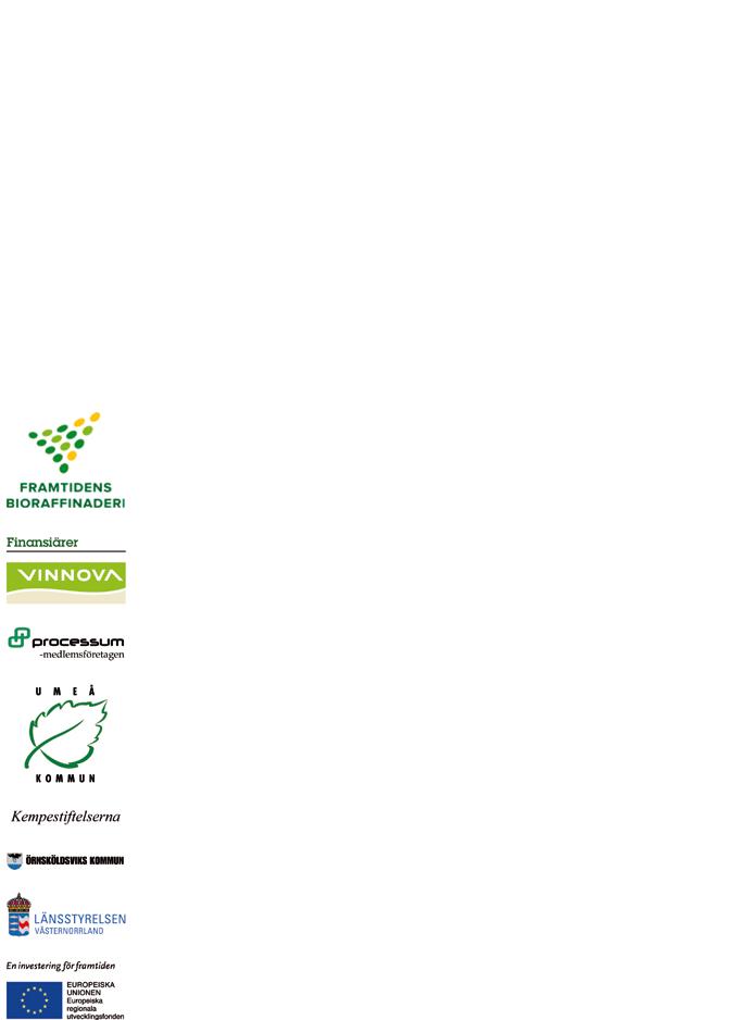 20 Framtidens Bioraffinaderi Verksamhetsberättelse 2013