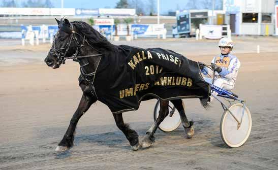 DAMKLUBBENS KALLA PRIS Tidigare vinnare Häst Ägare Kusk Tid Odds 1987 Juni Best Torborg Öberg, Piteå Erling Wallström 1988 Lenny Li Roland Rönnkvist, Rosvik Krister Nilsson 4,44 1989 Qvick Express