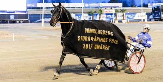 DAMKLUBBENS STORA FYRAÅRINGSPRIS Tidigare vinnare Häst Ägare Kusk Tid Odds 1996 Sword Frazer Stall Kemppi Jouko Pärsinen 15,2 1,41 1997 Mario Hawk Stall 3 Vesterås, Norge Boye Ölstören 17,4 3,46 1998